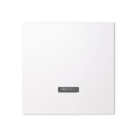 Bästa pris ABB Saga 6543-916-102-510 Centrumplatta